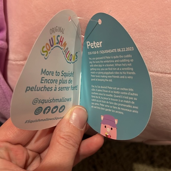 Peter Pig Squishmallow HUGE 20in NWT - Picture 5 of 6